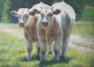 Yunong Wang, Zwei weisse Rinder, 2021, Öl aud Leinwand, 75 x 105cm