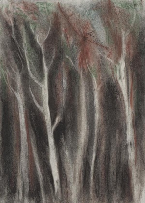 Carlota Carbonell Valero, Der Spreewald in Mexiko, 2021,  Pastellkreide, Kohle und Tusche auf Papier, 80 x 62 cm