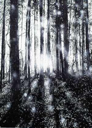 Jan Davidoff, Durchsicht, 2020, Mischtechnik auf Leinwand, 140 x 100 cm, Waldlichtung, Sonne, Bäume