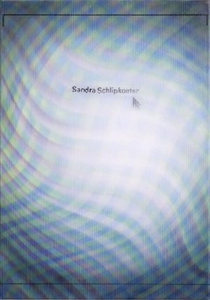 Sandra Schlipkoeter, Datei, 2018, Öl auf leinwand, 80 x 56 cm