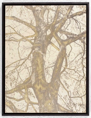 Jan Davidoff: Hauptstamm, 2015, 40 x 30 cm, überarbeiteter Lasercut auf Holz, 2.100 EUR